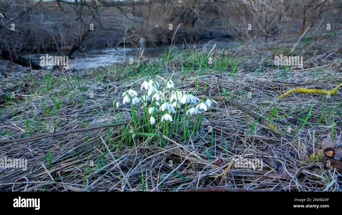 Le nevicate sul fiume indossano, Durham Foto Stock