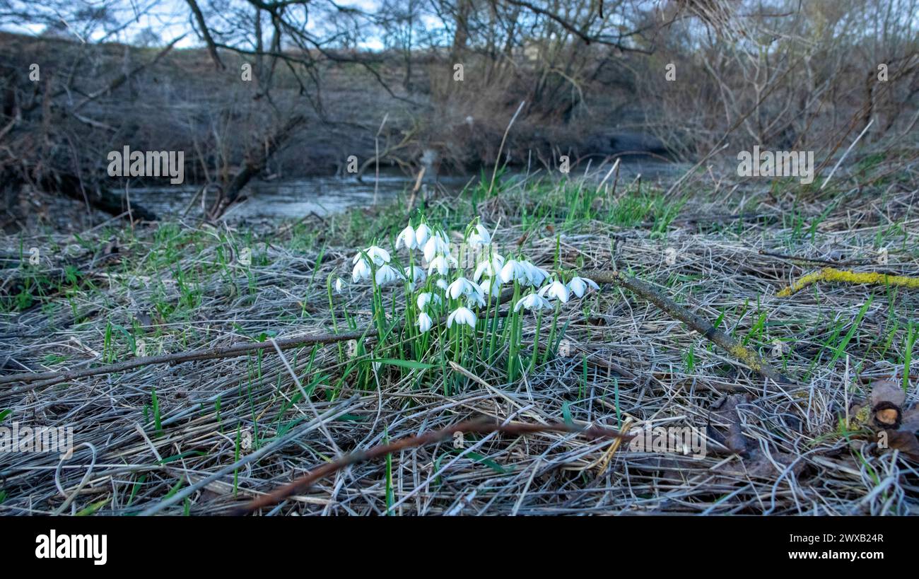 Le nevicate sul fiume indossano, Durham Foto Stock