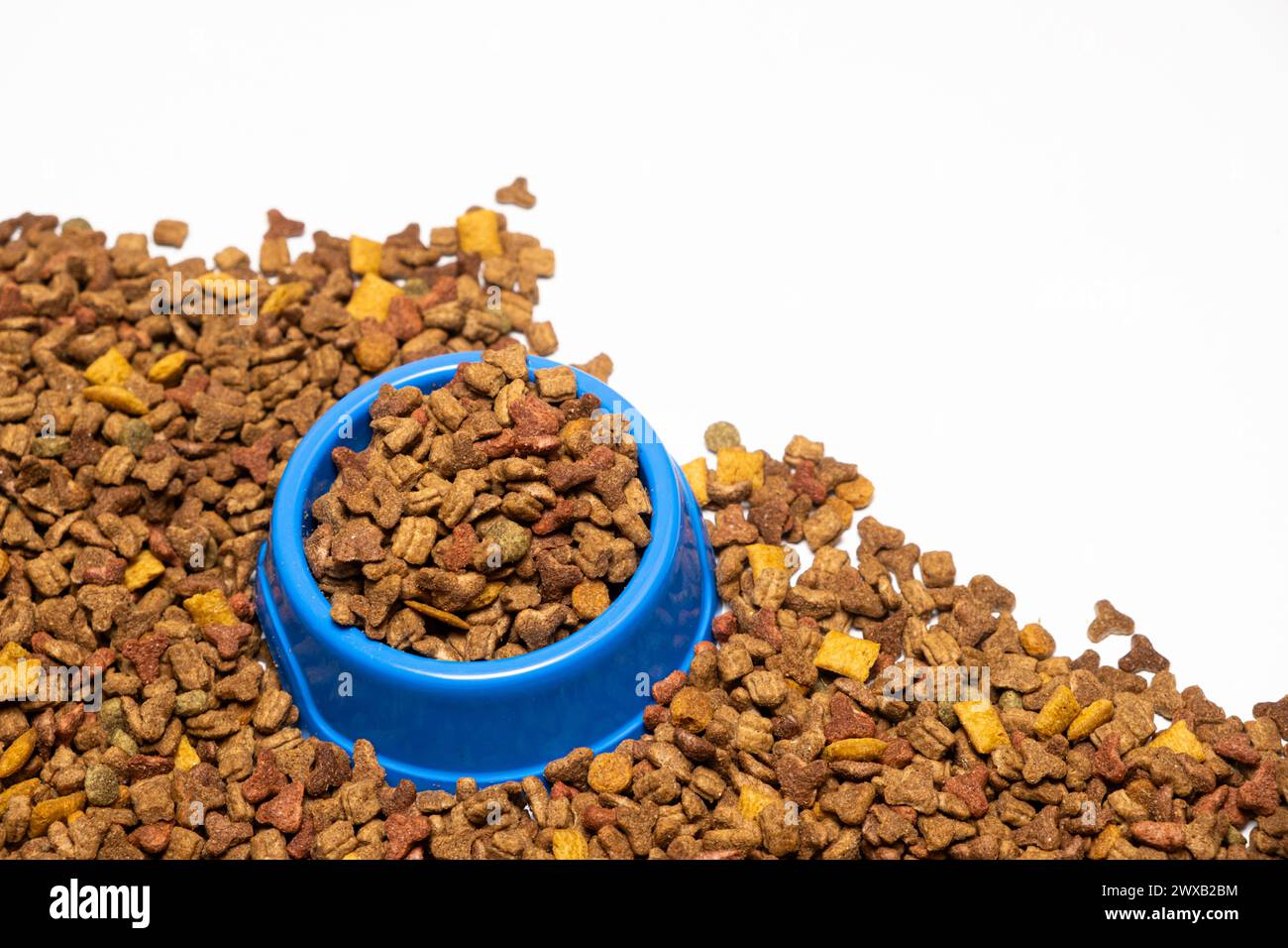 Asciugare gli alimenti per animali domestici in una ciotola blu su sfondo bianco. Una dieta completa per cani e gatti Foto Stock