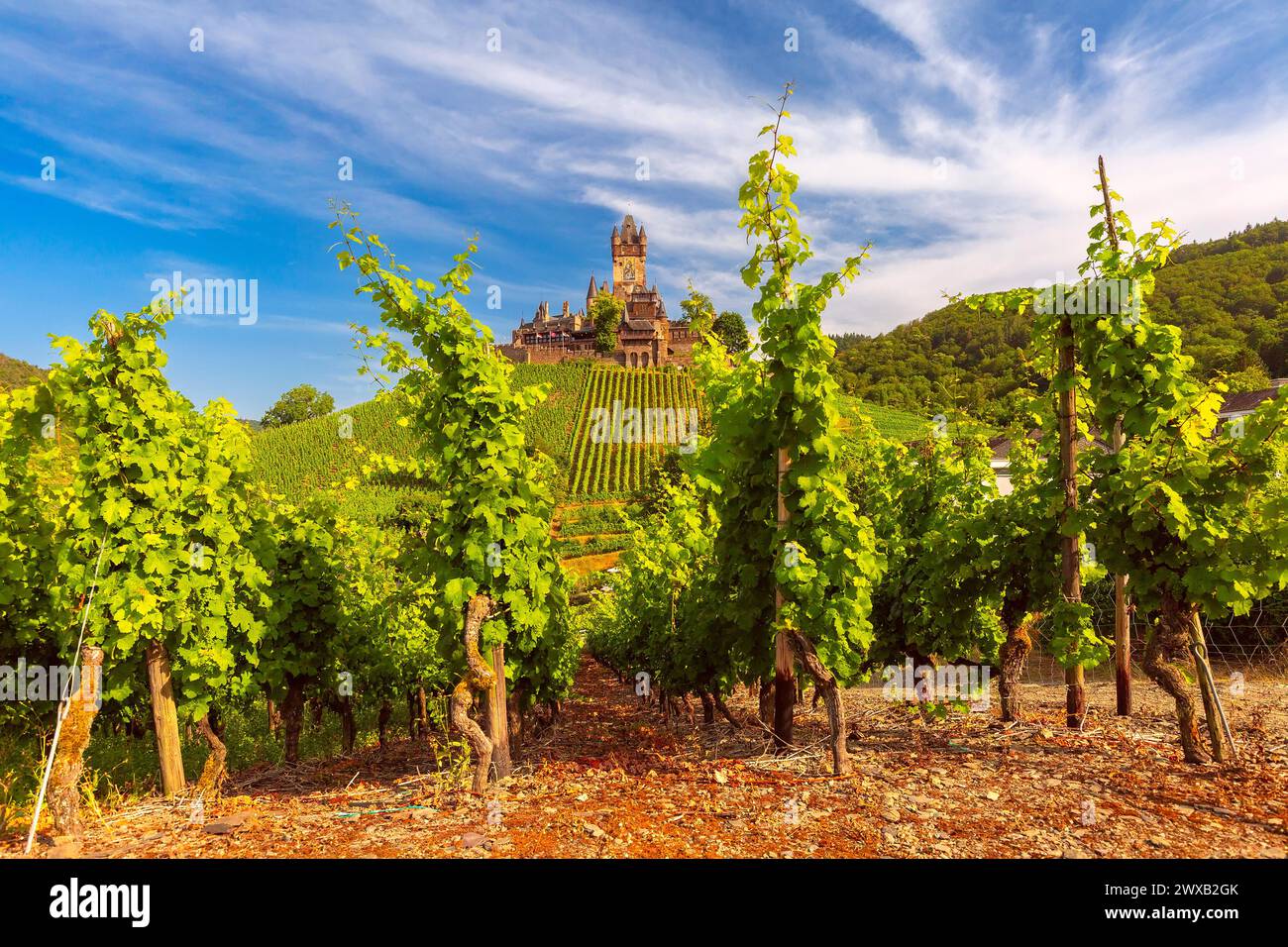Panorama del castello di Reichsburg e dei vigneti di Cochem, splendida cittadina sul fiume Mosella, Germania Foto Stock