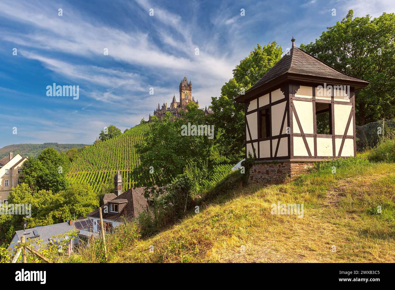 Panorama del castello di Reichsburg e dei vigneti di Cochem, splendida cittadina sul fiume Mosella, Germania Foto Stock