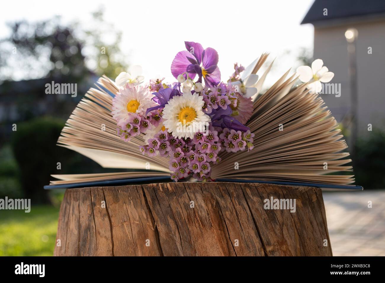 sul ceppo si trova un libro aperto, tra le pagine di cui si trova il bouquet di vari fiori provenienti dal giardino. concetto di lettura, estetica, saggezza e conoscenza Foto Stock