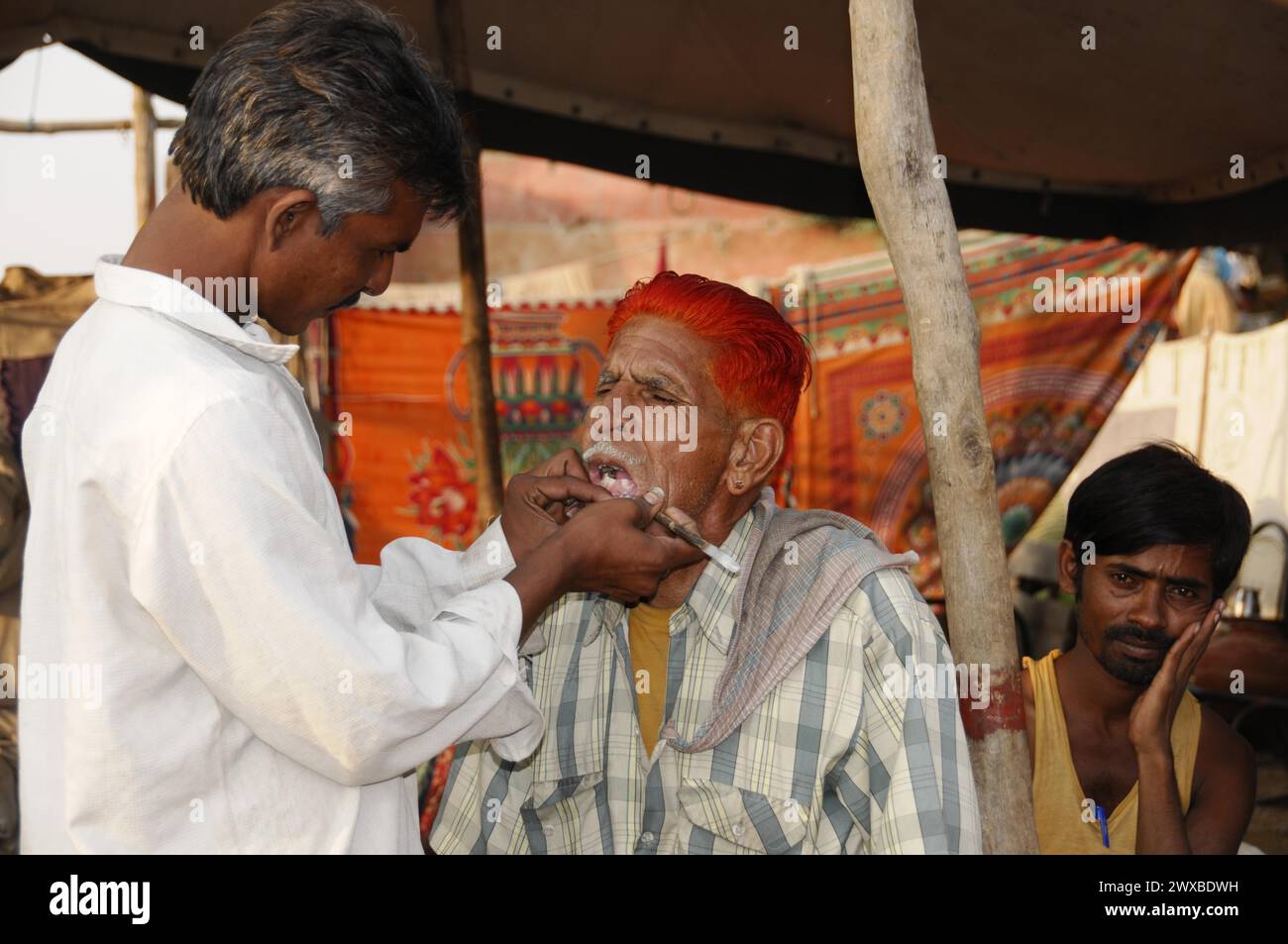 Mercato dei cammelli, fiera, persone, mercato dei matrimoni, animali, città deserta Pushkar, (Pushkar Camal Fair), dentista di strada che cura un paziente, Rajasthan, nord Foto Stock