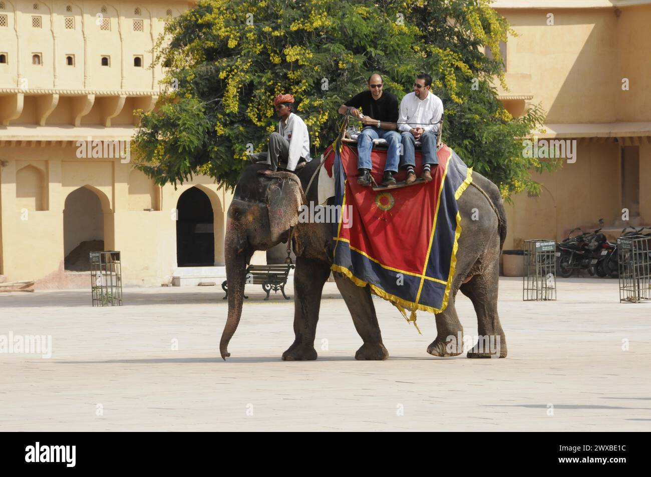 Turisti su un elefante decorato durante un viaggio di andata e ritorno in India, Amber, Rajasthan, India settentrionale, India Foto Stock