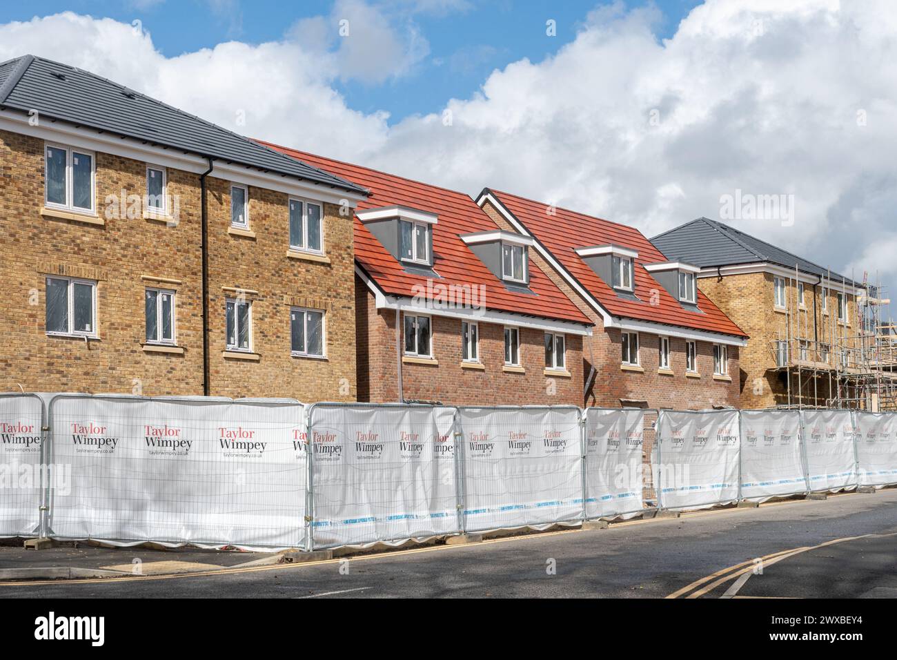 Sviluppo di nuove abitazioni da parte di Taylor Wimpey chiamato Heatherwood Royal, Ascot, Berkshire, Inghilterra, Regno Unito Foto Stock