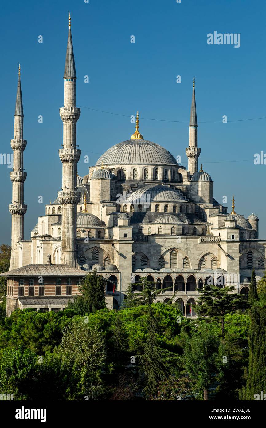 La Moschea Blu, Istanbul, Turchia Foto Stock