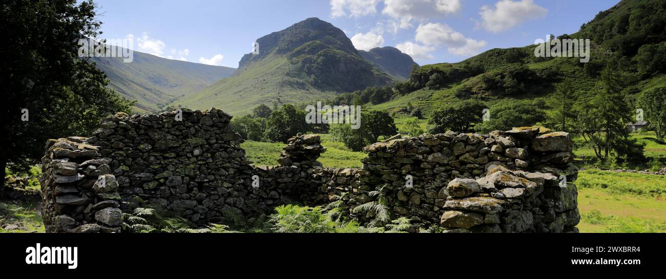 Vista sulla valle di Stonethwaite, Allerdale, Lake District National Park, Cumbria, Inghilterra, Regno Unito Foto Stock