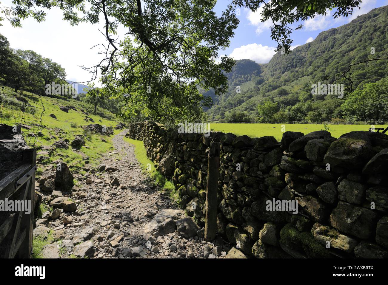 Vista sulla valle di Stonethwaite, Allerdale, Lake District National Park, Cumbria, Inghilterra, Regno Unito Foto Stock