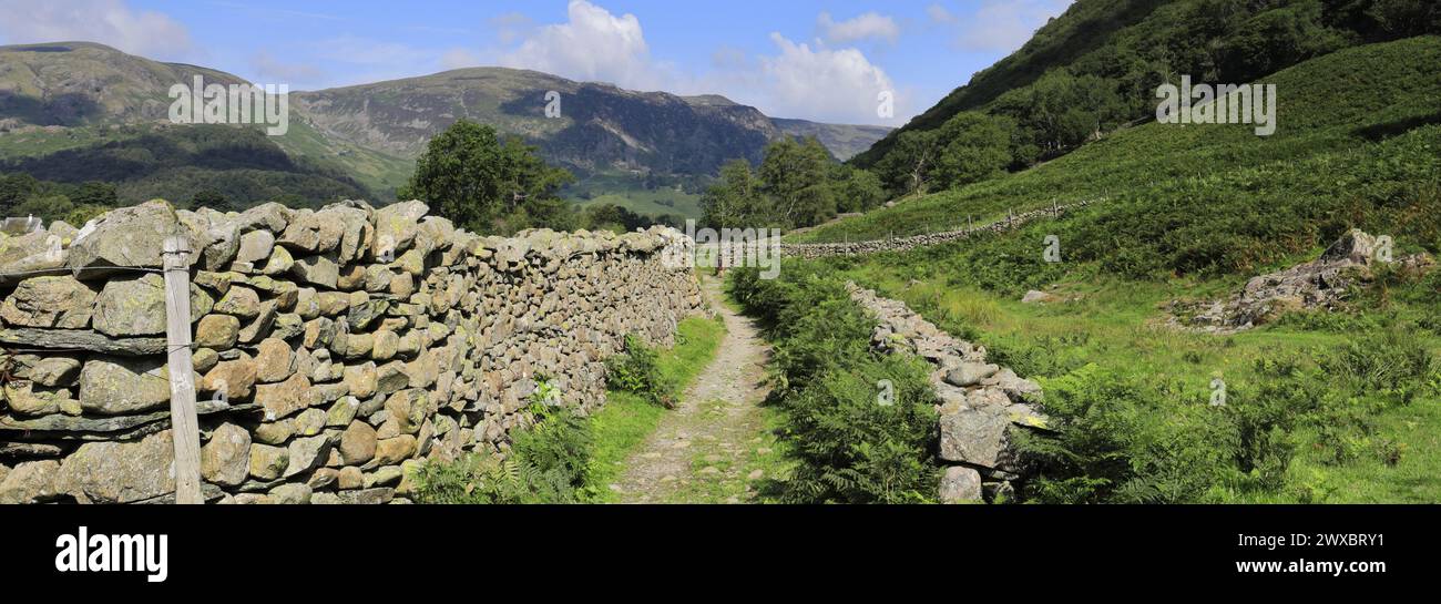 Vista sulla valle di Stonethwaite, Allerdale, Lake District National Park, Cumbria, Inghilterra, Regno Unito Foto Stock