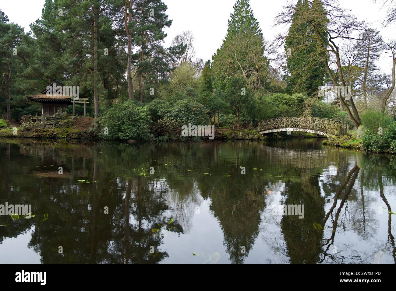 Il Giardino Giapponese a Tatton Park, in Inghilterra, si basa sullo stile di un giardino da tè giapponese. Alcuni dei manufatti del giardino sono stati portati dal Giappone. Foto Stock