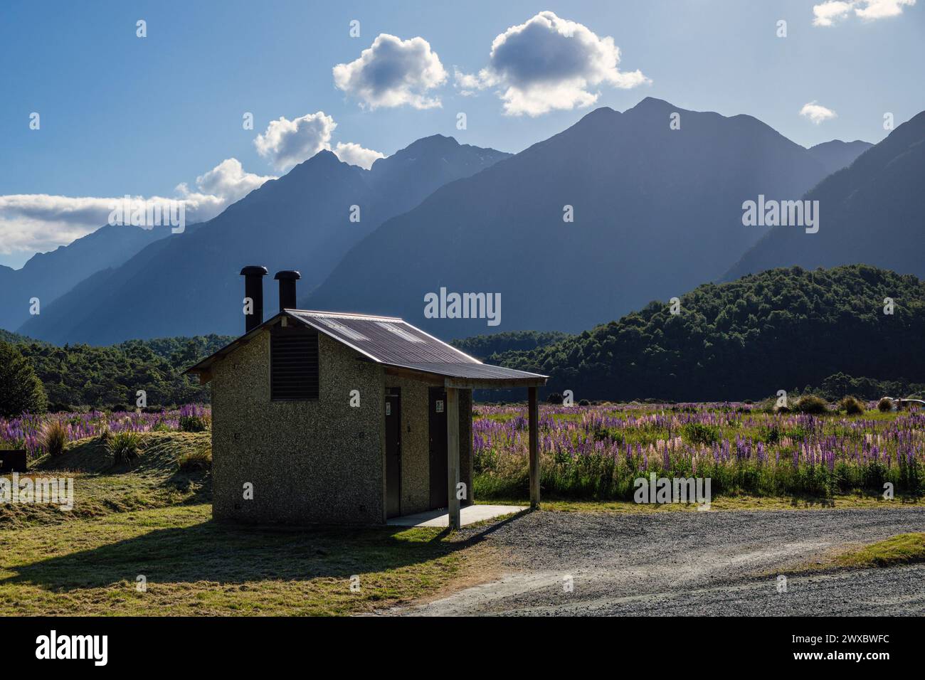 Il bagno presso il campeggio Cascade Creek DOC al sole della sera, Fiordland National Park, Southland, South Island, nuova Zelanda Foto Stock