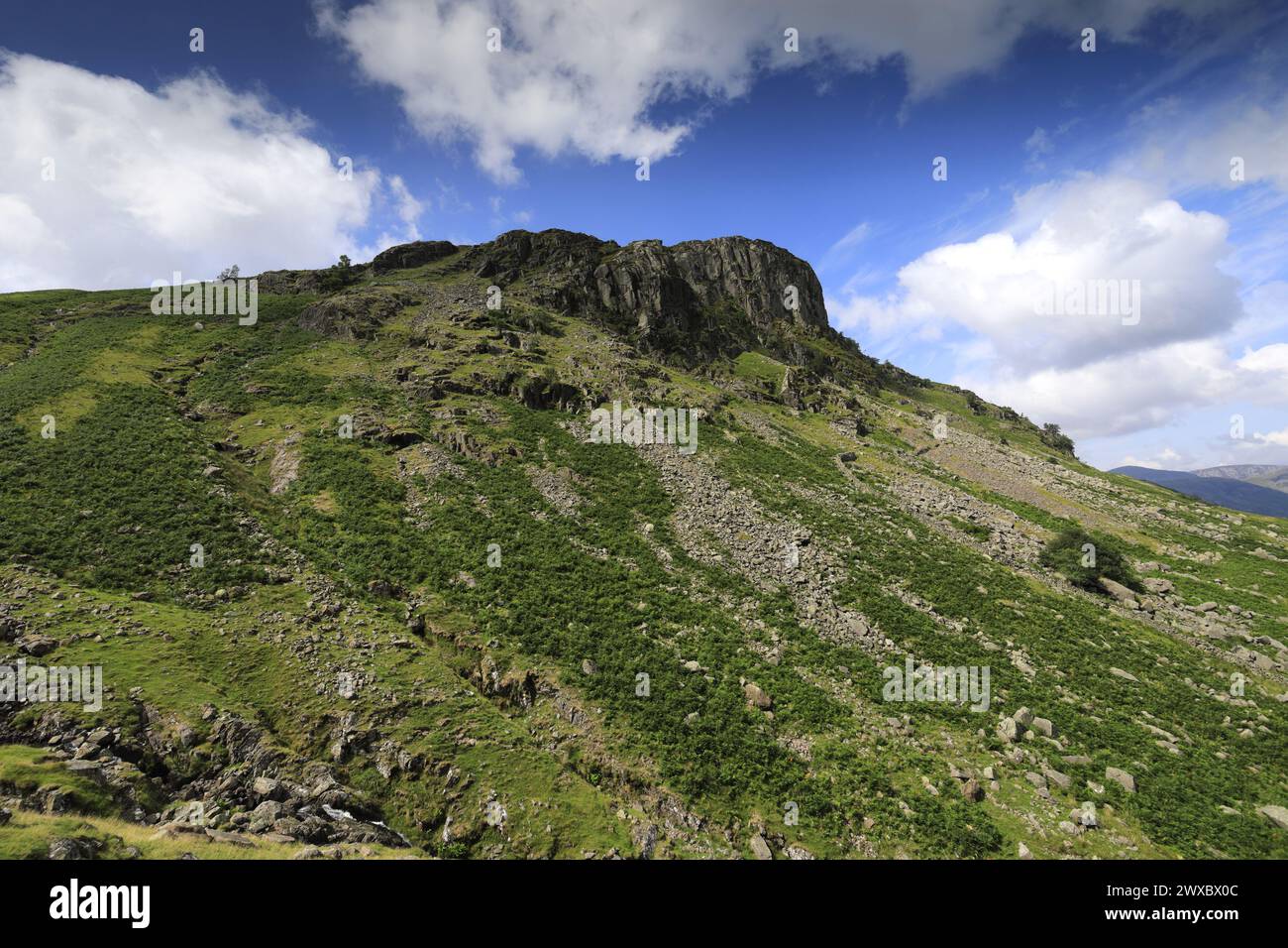 Vista su Eagle Crag Fell, Stonethwaite Valley, Allerdale, Lake District National Park, Cumbria, Inghilterra, UK Eagle Crag è uno dei 214 Wainwright f Foto Stock