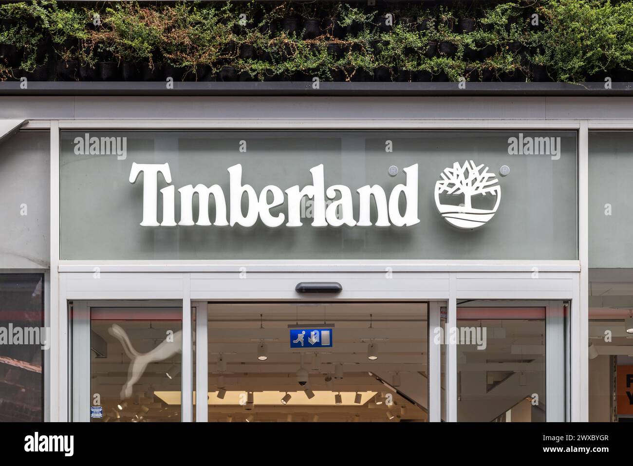 Dettaglio della segnaletica del marchio e del logo di un negozio Timberland. Dettaglio di un cartello Timberland Shop. Foto Stock