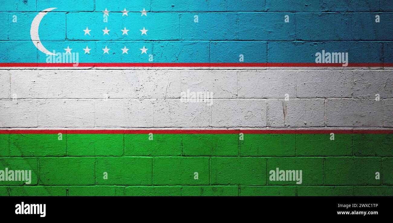 Bandiera dell'Uzbekistan dipinta su un muro di cemento. Foto Stock
