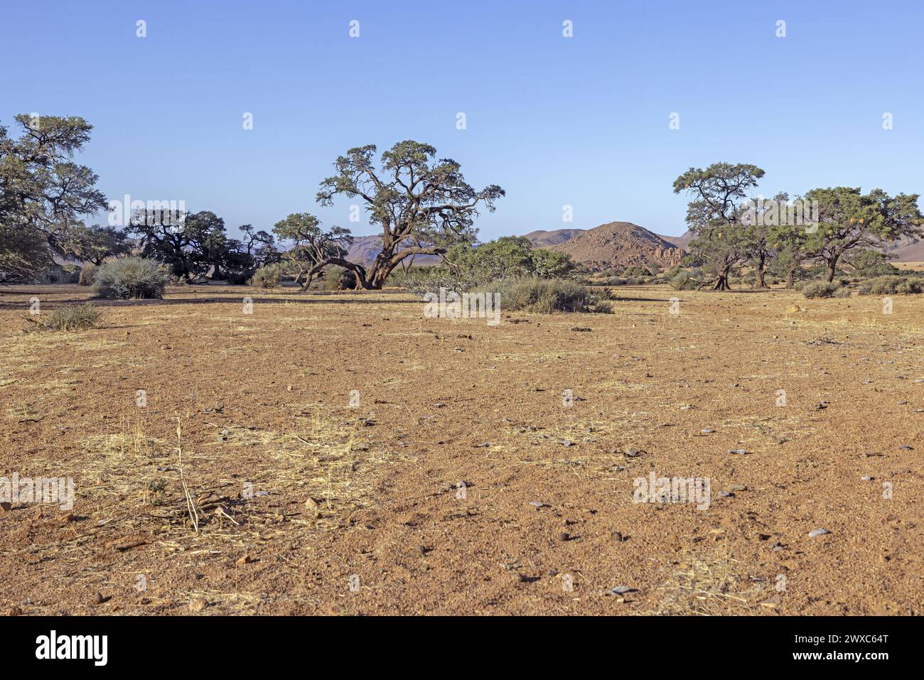 Foto del paesaggio unico dei Monti Tiras ai margini del deserto del Namib in Namibia durante il giorno in estate Foto Stock