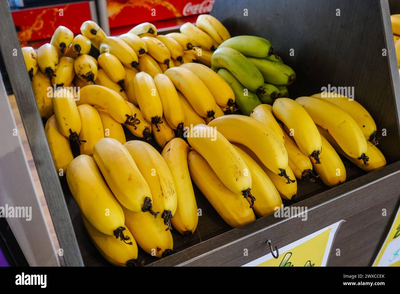 Le banane di Coffs Harbour sono rinomate per il loro gusto e la qualità eccezionali, grazie al clima e alle condizioni del terreno unici della regione. La zona e' sotto Foto Stock