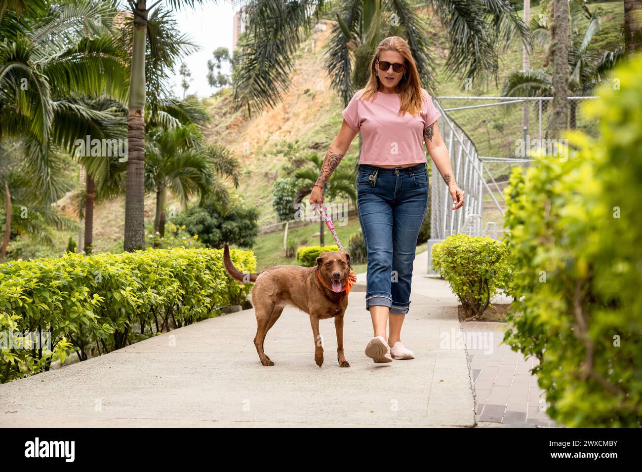 Donna che cammina con il suo cane, vestita casualmente con jeans, una t-shirt rosa e occhiali da sole, in un quartiere privato pieno di piante e palme. Foto Stock