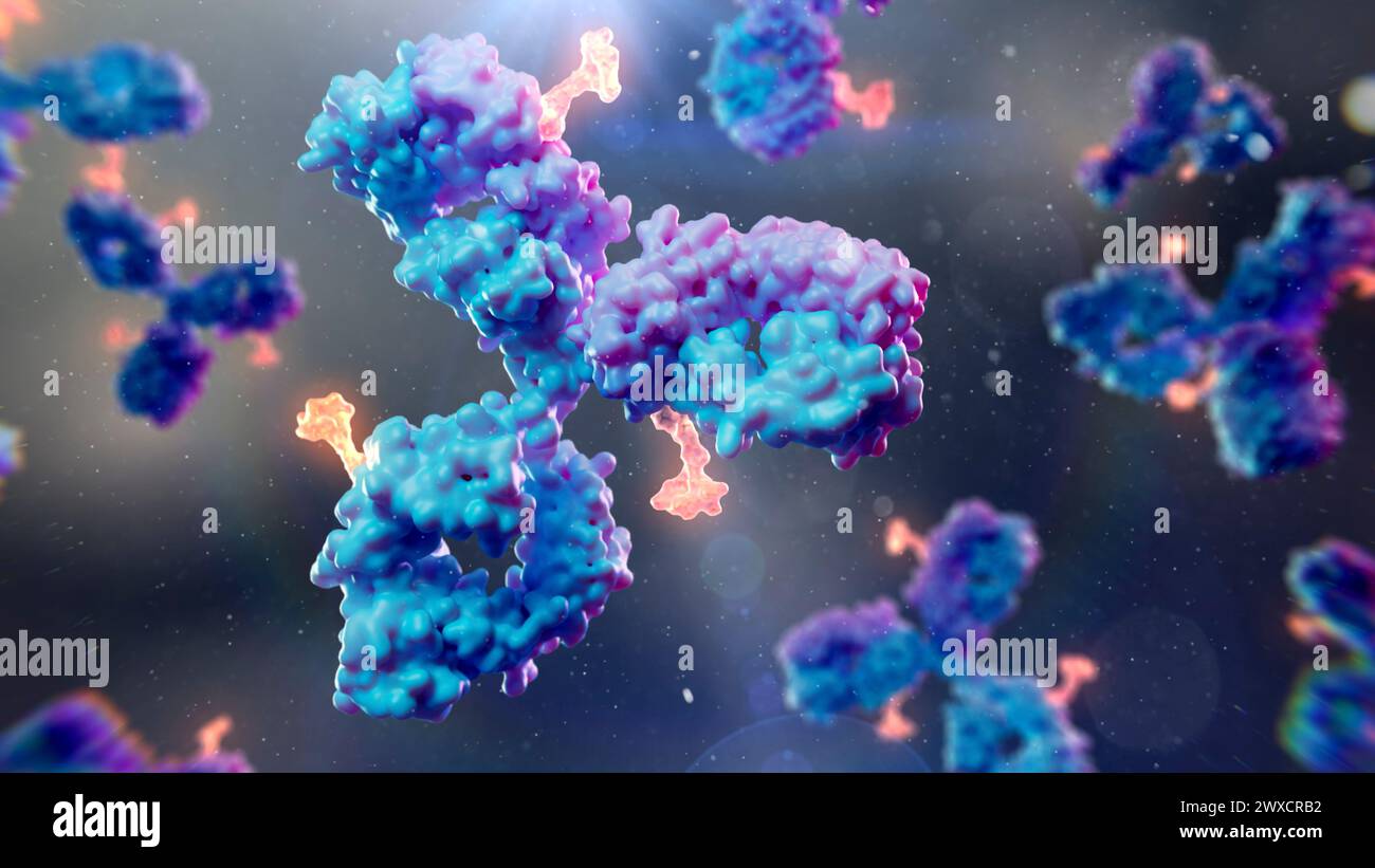 Illustrazione dei coniugati di farmaci anticorpali. I coniugati di farmaci anticorpali possono essere costituiti da un anticorpo monoclonale (blu/viola) e da un carico utile citotossico (arancione) per individuare e distruggere cellule specifiche nel corpo. Foto Stock