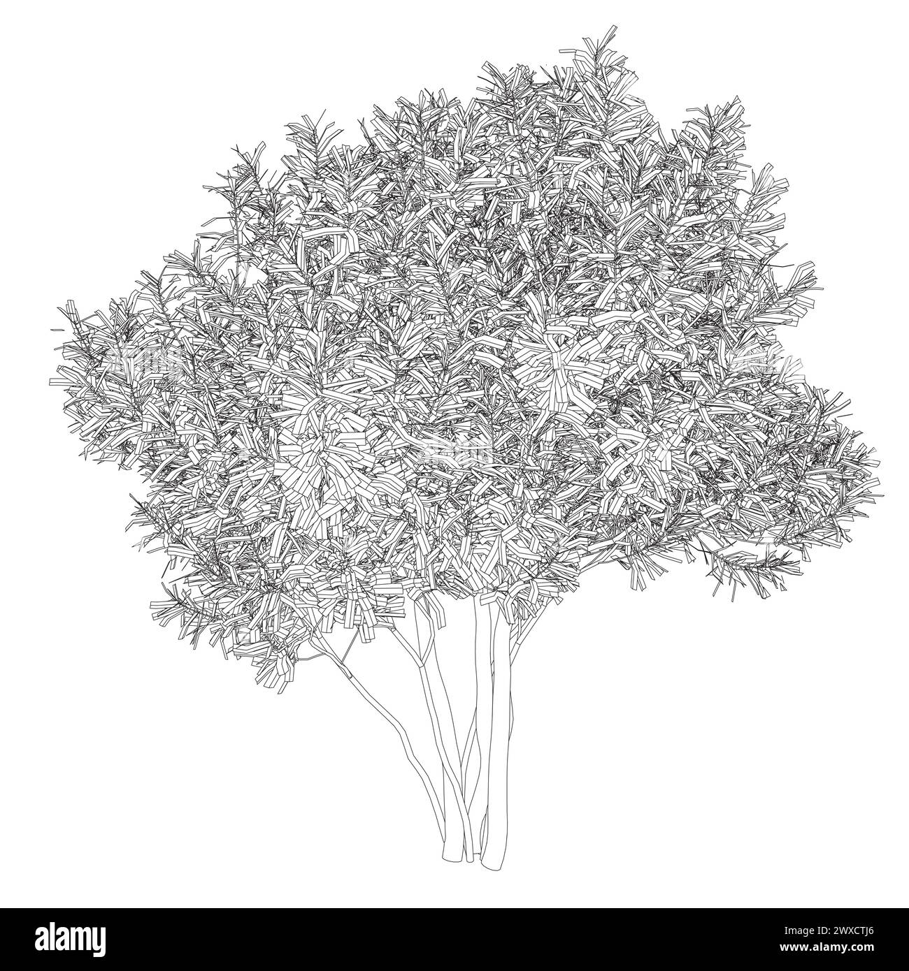 Contorno di un grande albero dettagliato fatto di linee nere isolate su uno sfondo bianco. Illustrazione vettoriale. Illustrazione Vettoriale