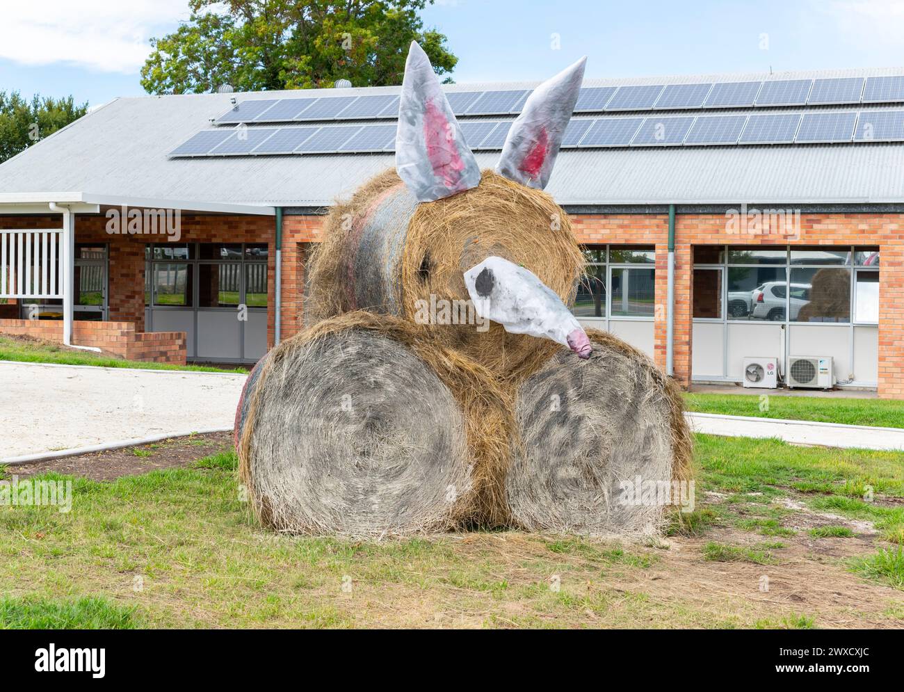 I partecipanti al concorso di Street art sul percorso delle balle di fieno al Tenterfield Autumn Festival nel 2024, nel nuovo galles del Sud settentrionale, australia Foto Stock