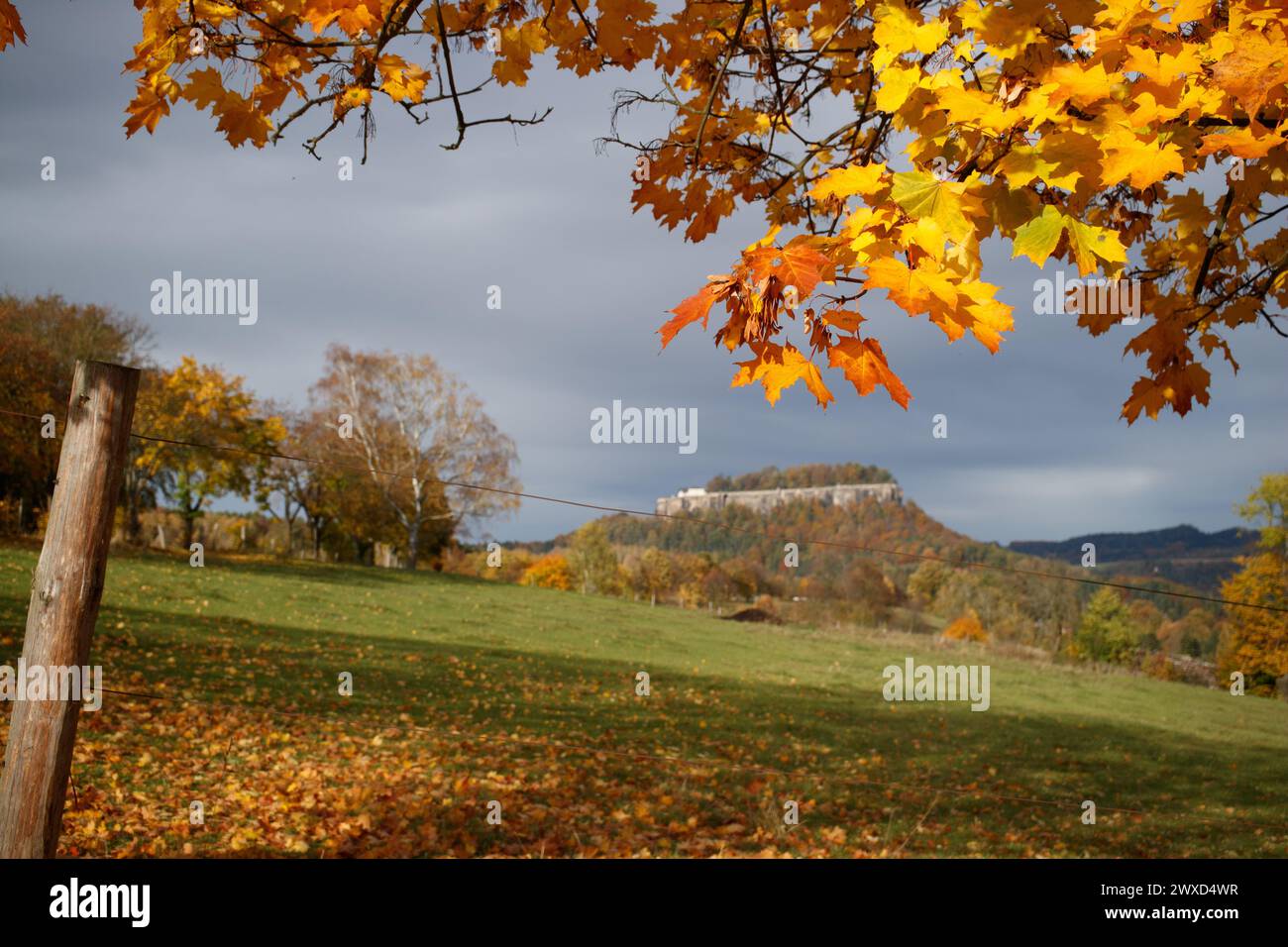 Vista autunnale della fortezza di Koenigsstein Foto Stock