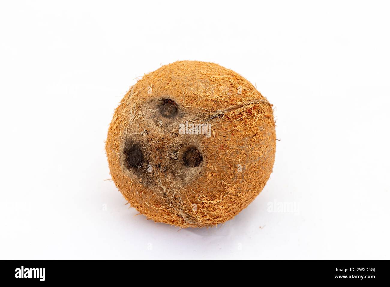 Frutti di cocco interi con tre fori isolati su sfondo bianco Foto Stock