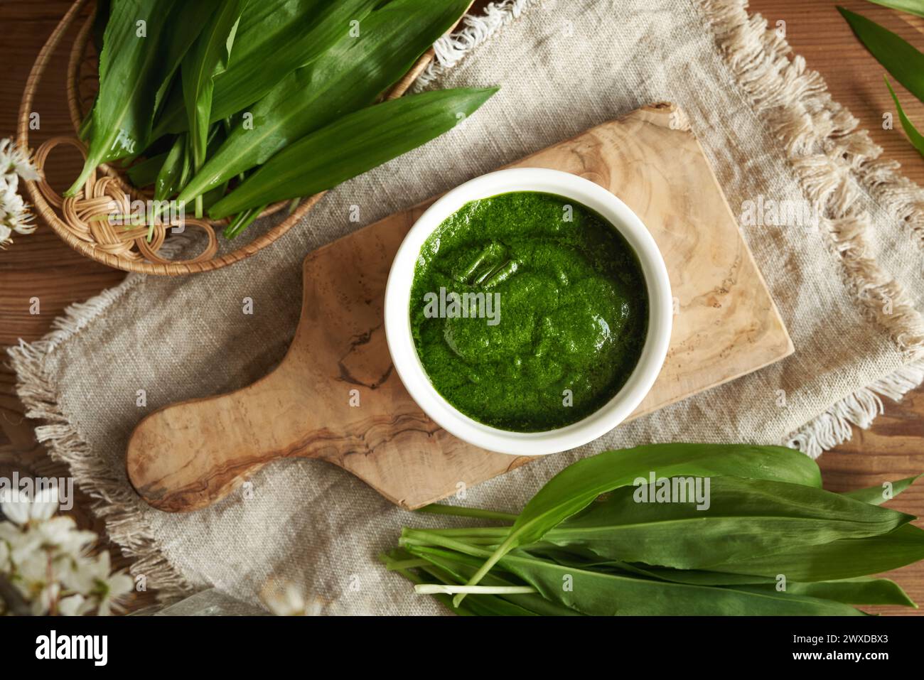 Salsa di pesto verde fatta in casa con aglio fresco o foglie di ramson dell'orso - pianta commestibile selvatica raccolta all'inizio della primavera Foto Stock