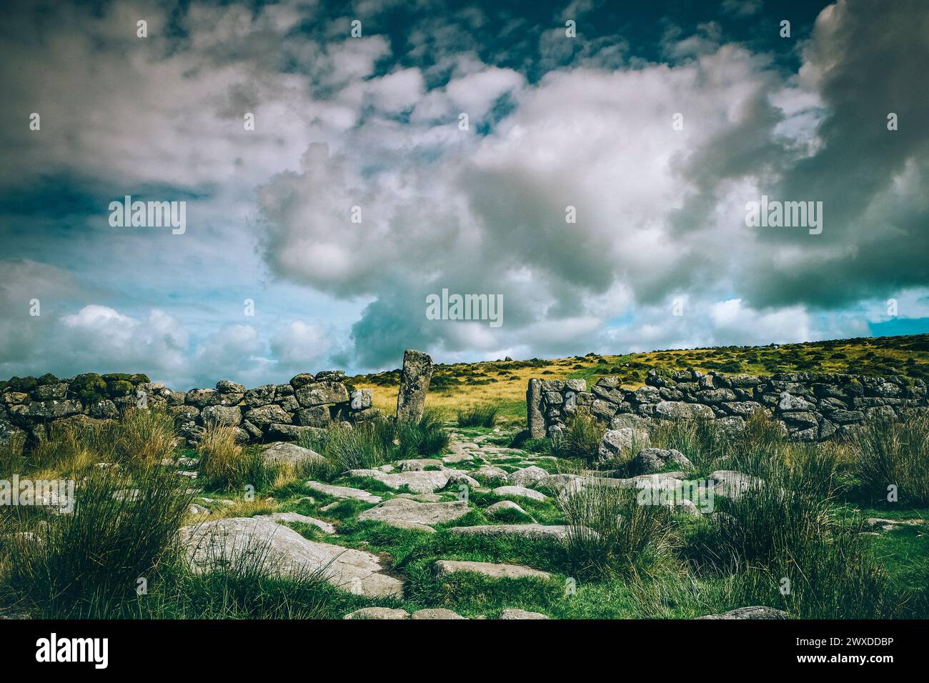 Sentiero roccioso e muro di pietra su Dartmoor sotto il cielo nuvoloso. Foto Stock