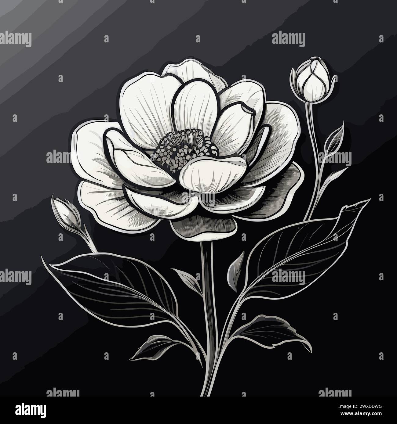Schizzo disegnato a mano di un fiore di peonia. Illustrazione vettoriale in bianco e nero. Illustrazione Vettoriale