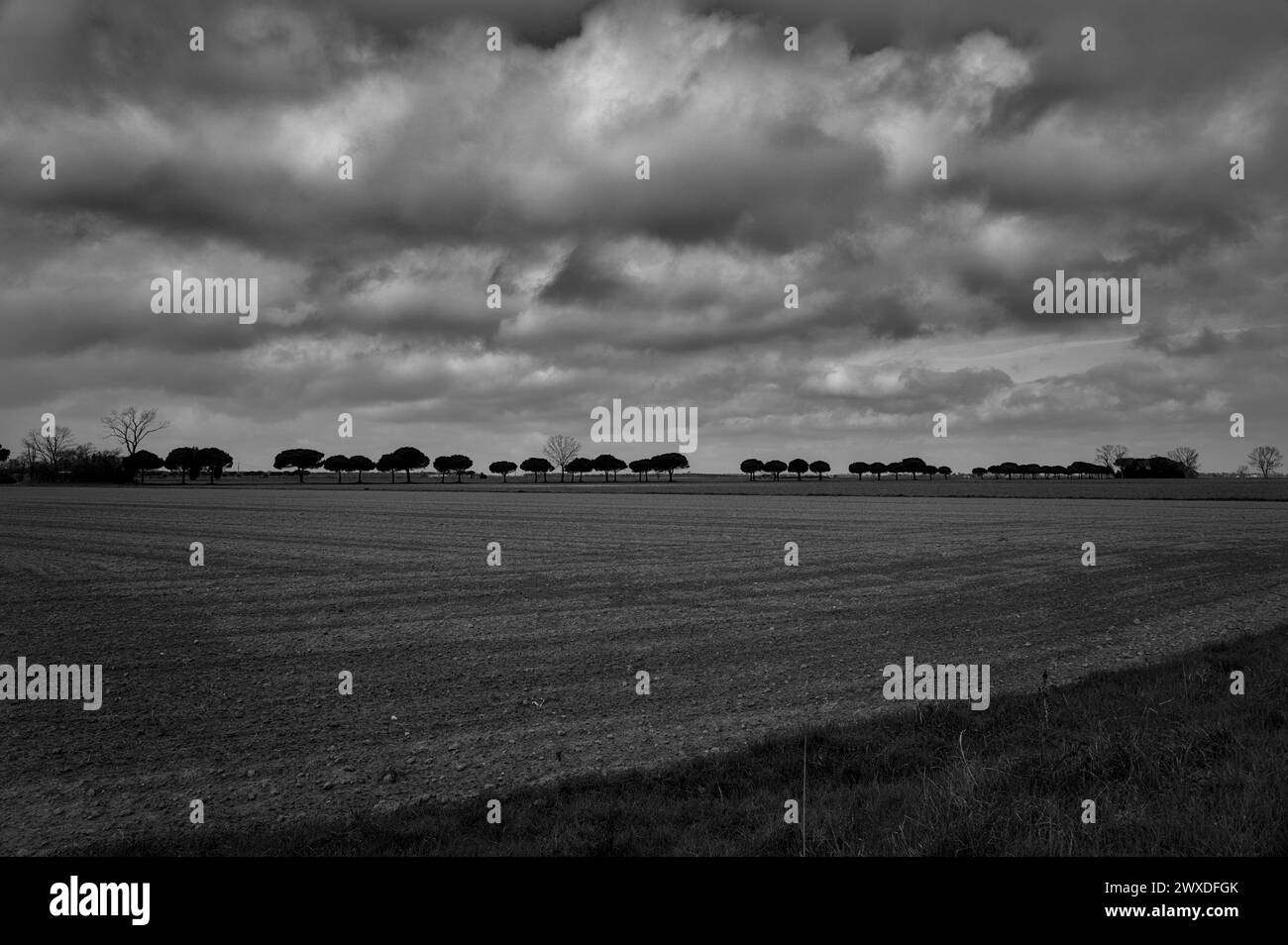 Zona tra Lido di Dante e Foce dei fiumi uniti, Romagna. Il posto è una riserva naturale con una bella pineta. Belle nuvole Foto Stock