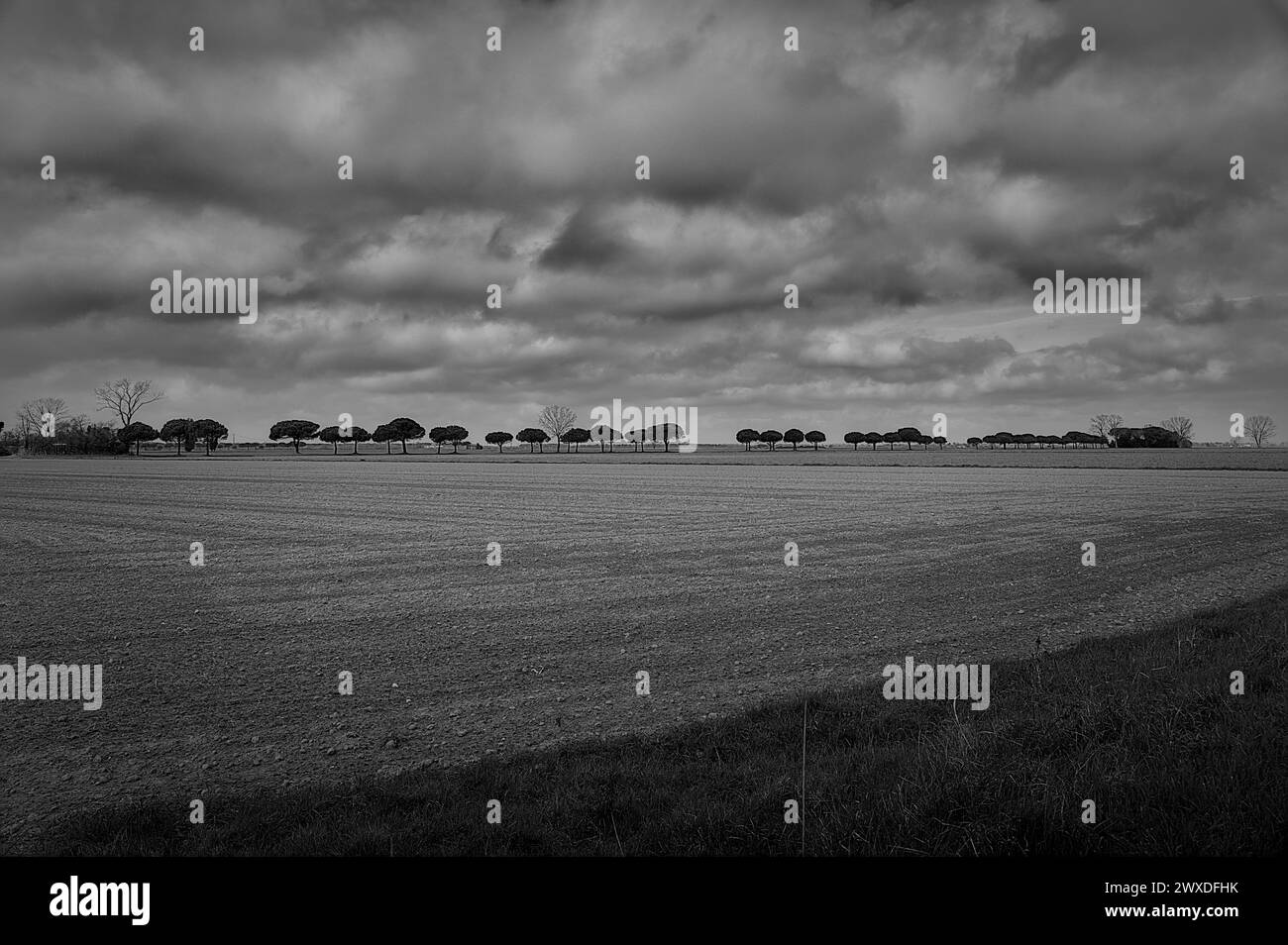 Zona tra Lido di Dante e Foce dei fiumi uniti, Romagna. Il posto è una riserva naturale con una bella pineta. Belle nuvole Foto Stock