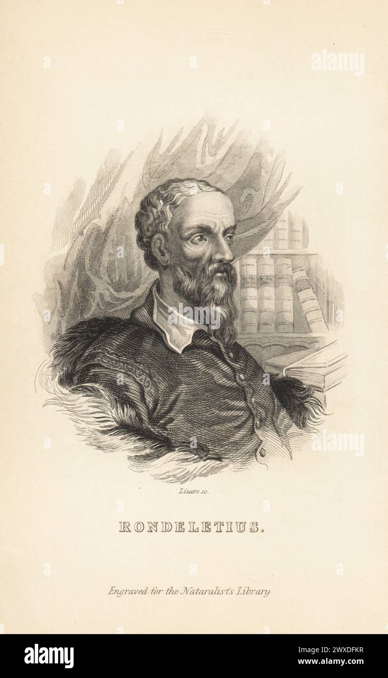 Rondeletius, Guillaume Rondelet, professore di medicina presso l'Università di Montpelier, Francia, chirurgo, anatomista, naturalista e botanico, 1507-1566. Barba, doppietto e colletto, seduti davanti a una tenda drappeggiata e a una libreria con libri rilegati in pelle. Incisione in acciaio di William Lizars da The Naturalist's Library di Sir William Jardine, W.H. Lizars, Edimburgo, 1843. Foto Stock