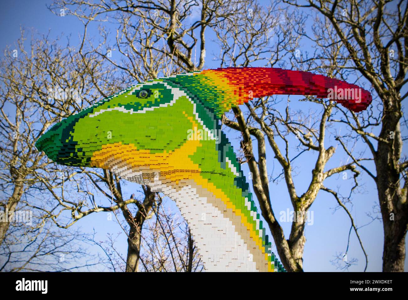 Southport, Merseyside, 03.30.2024 Southport Town Centre si trasforma in Dinotown! La mostra BRICKOSAURS presenta quindici dinosauri costruiti in mattoni, realizzati utilizzando oltre 550.000 mattoni giocattolo. Colossali Velociraptor, un Ankylosauro dalla coda da club e un maestoso Pteranodon. Crediti: Cernan Elias/Alamy Live News Foto Stock