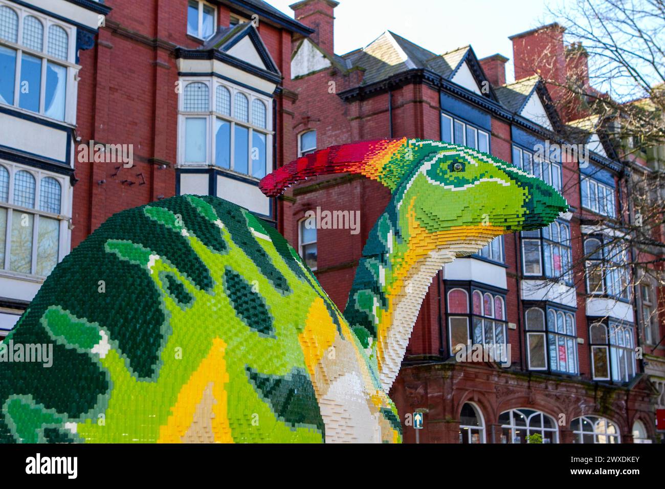 Southport, Merseyside, 03.30.2024 Southport Town Centre si trasforma in Dinotown! La mostra BRICKOSAURS presenta quindici dinosauri costruiti in mattoni, realizzati utilizzando oltre 550.000 mattoni giocattolo. Colossali Velociraptor, un Ankylosauro dalla coda da club e un maestoso Pteranodon. Crediti: Cernan Elias/Alamy Live News Foto Stock
