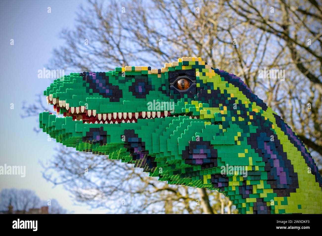 Southport, Merseyside, 03.30.2024 Southport Town Centre si trasforma in Dinotown! La mostra BRICKOSAURS presenta quindici dinosauri costruiti in mattoni, realizzati utilizzando oltre 550.000 mattoni giocattolo. Colossali Velociraptor, un Ankylosauro dalla coda da club e un maestoso Pteranodon. Crediti: Cernan Elias/Alamy Live News Foto Stock