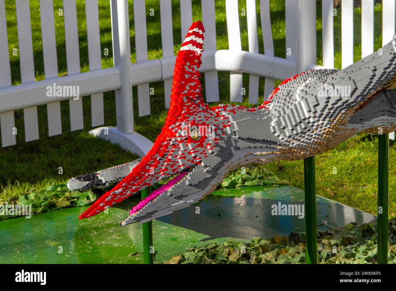 Southport, Merseyside, 03.30.2024 Southport Town Centre si trasforma in Dinotown! La mostra BRICKOSAURS presenta quindici dinosauri costruiti in mattoni, realizzati utilizzando oltre 550.000 mattoni giocattolo. Colossali Velociraptor, un Ankylosauro dalla coda da club e un maestoso Pteranodon. Crediti: Cernan Elias/Alamy Live News Foto Stock