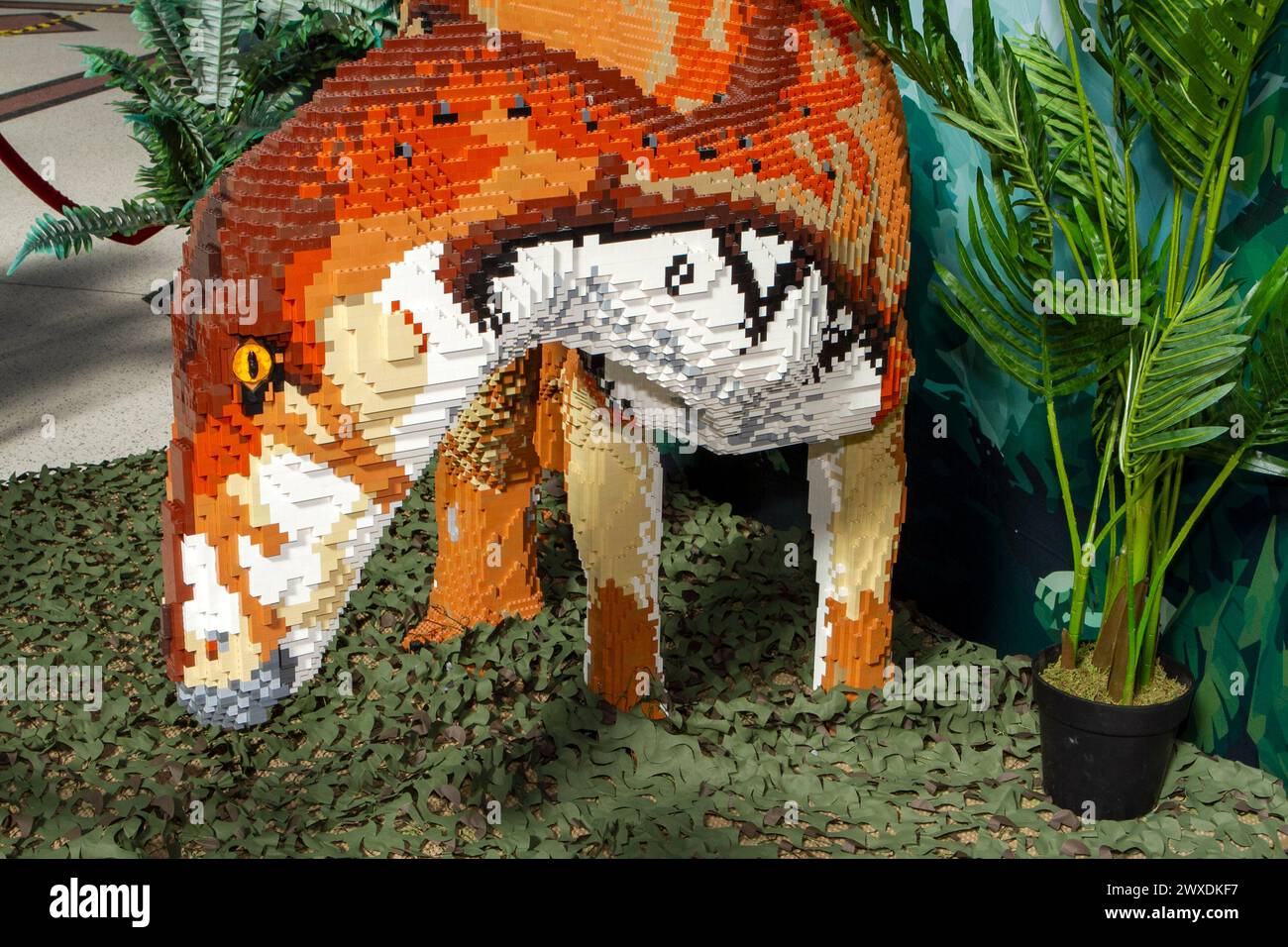 Southport, Merseyside, 03.30.2024 Southport Town Centre si trasforma in Dinotown! La mostra BRICKOSAURS presenta quindici dinosauri costruiti in mattoni, realizzati utilizzando oltre 550.000 mattoni giocattolo. Colossali Velociraptor, un Ankylosauro dalla coda da club e un maestoso Pteranodon. Crediti: Cernan Elias/Alamy Live News Foto Stock