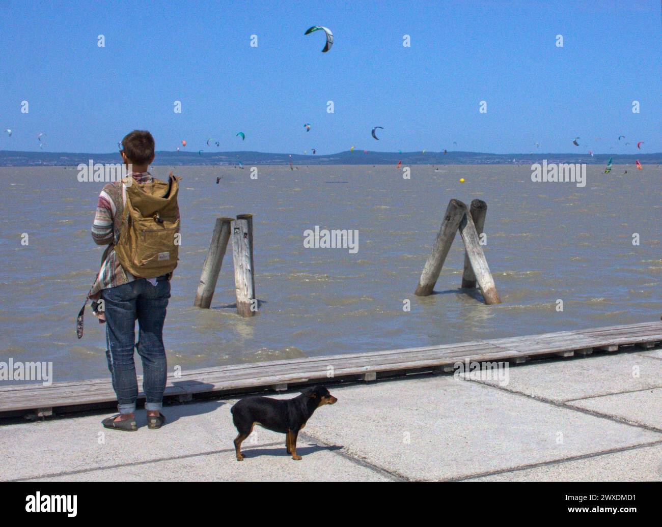 Uomo e il suo cane a Neusiedler SEE, meta preferita per le attività ricreative in Austria Foto Stock