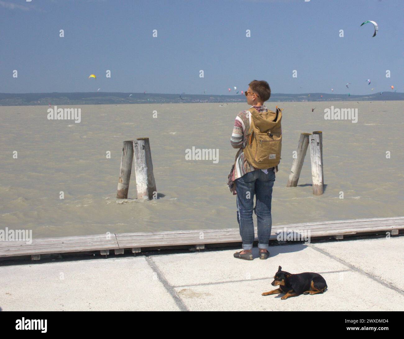 Uomo e il suo cane a Neusiedler SEE, meta preferita per le attività ricreative in Austria Foto Stock