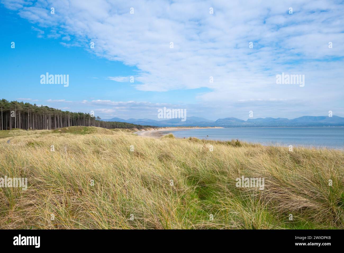 Newborough Beach sulla costa meridionale di Anglesey, Galles del Nord. Foto Stock