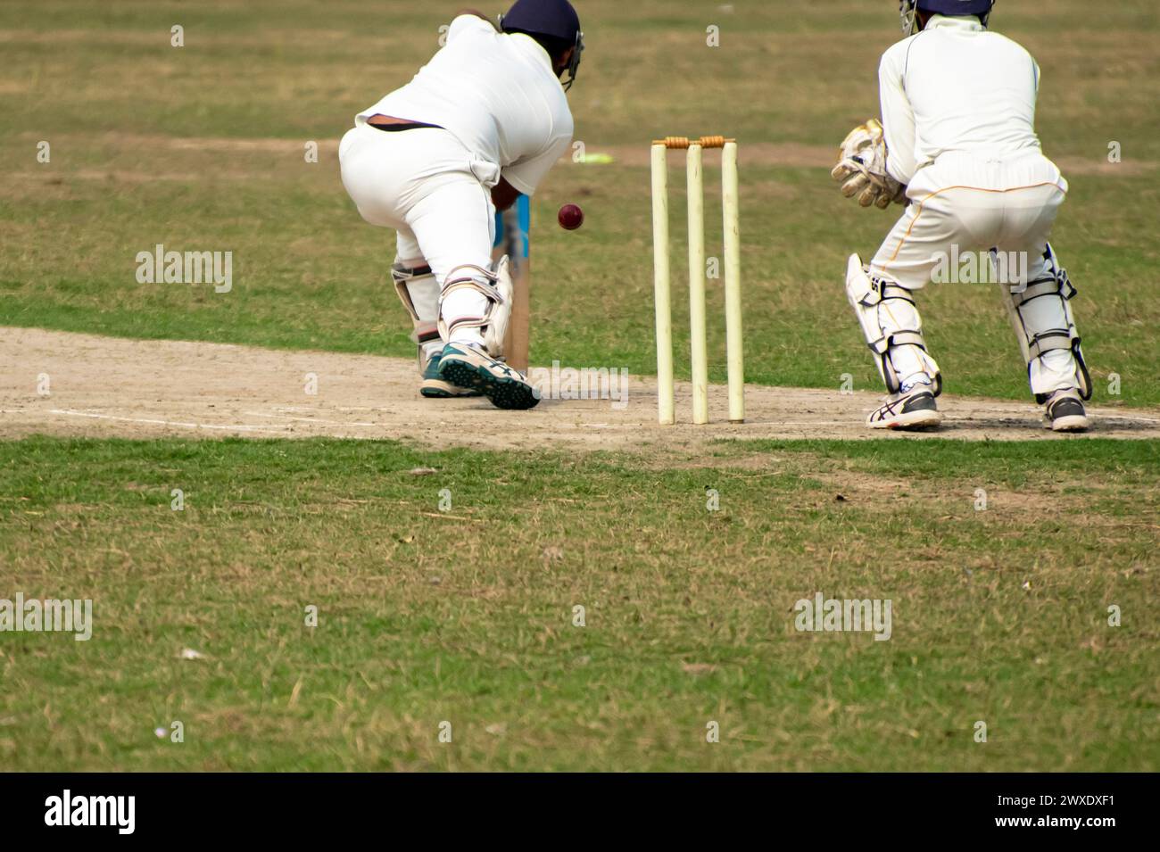 Cricket batsman sta giocando un colpo difensivo in avanti Foto Stock