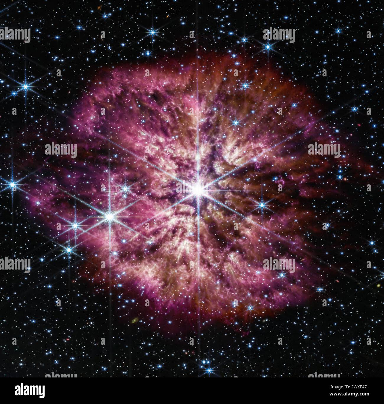 Le stelle di Wolf-Rayet sono note per essere produttrici di polveri efficienti, e lo strumento Mid-Infrared (Mid-Infrared Instrument) del James Webb Space Telescope della NASA lo dimostra con grande effetto. La polvere cosmica più fredda si illumina alle lunghezze d'onda più lunghe dell'infrarosso medio, mostrando la struttura della nebulosa di WR 124. La nebulosa è costituita da materiale espulso dalla stella dell'invecchiamento in espellenze casuali e dalla polvere prodotta nella turbolenza che ne deriva. Questo brillante stadio di perdita di massa precede l'eventuale supernova della stella, quando la fusione nucleare nel suo nucleo si arresta e la pressione della gravità la fa collassare su se stessa ed esplodere. Credito: NASA Foto Stock