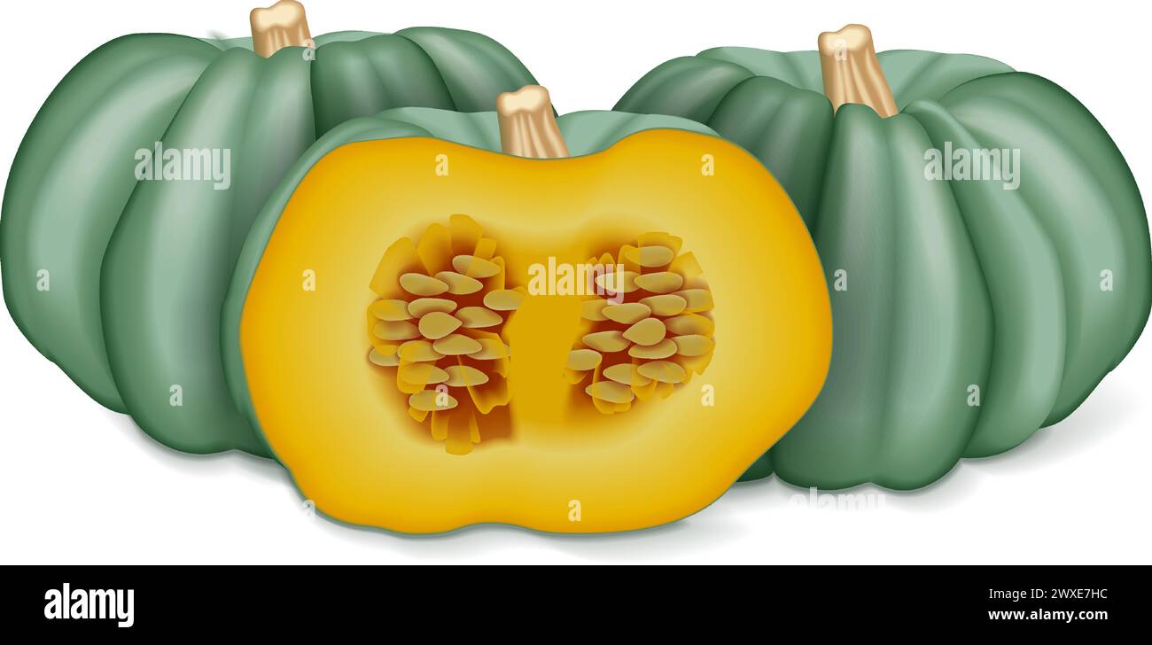 Intera e mezza zucca blu. Squash invernale. Cucurbita maxima. Frutta e verdura. Illustrazione vettoriale isolata. Illustrazione Vettoriale