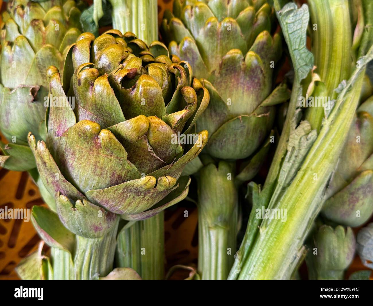 Carciofi freschi crudi in un mercato all'aperto a Smirne in Turchia Foto Stock