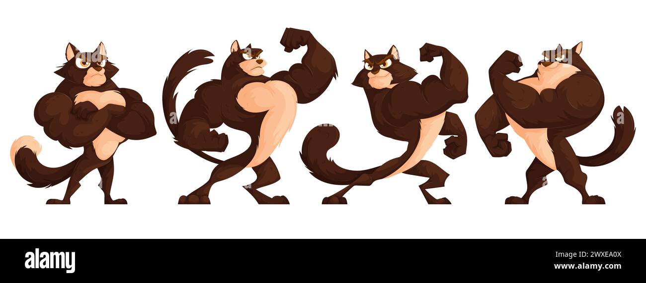 Set di quattro gatti forti e muscolosi in posa. Un brutale gatto marrone con una figura atletica in un vestito da culturista dimostra i suoi muscoli. Cartone animato Illustrazione Vettoriale