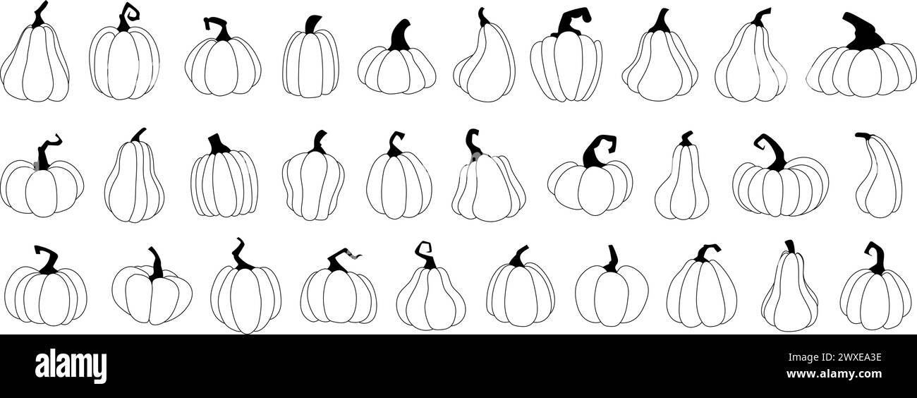 Impostare le illustrazioni dei simboli vettoriali delle zucche e delle zucche. Zucche nere in stile lineare, squash di halloween, dolci del raccolto autunnale. Il Ringraziamento dell'autunno e.. Illustrazione Vettoriale