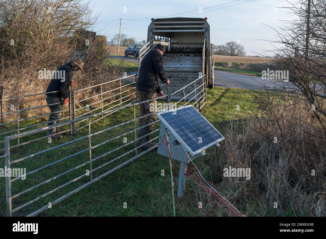 I pastori preparano le recinzioni di pecore per il caricamento, sulla destra una fonte di energia solare per le recinzioni, Meclemburgo-Pomerania Occidentale, Germania Foto Stock