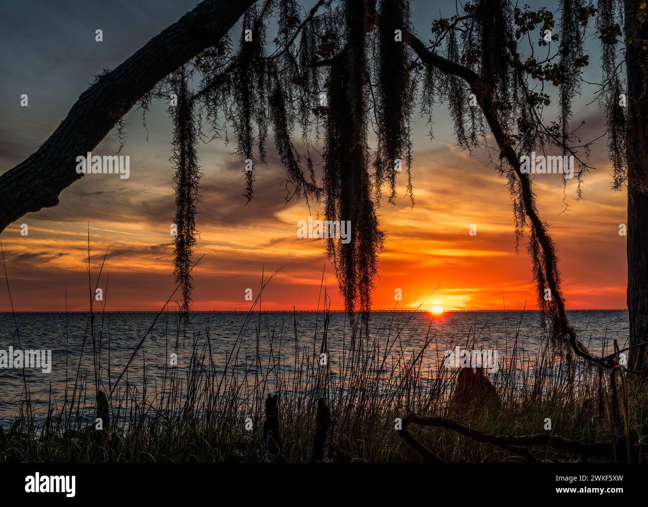 Un tramonto primaverile in Louisiana Foto Stock