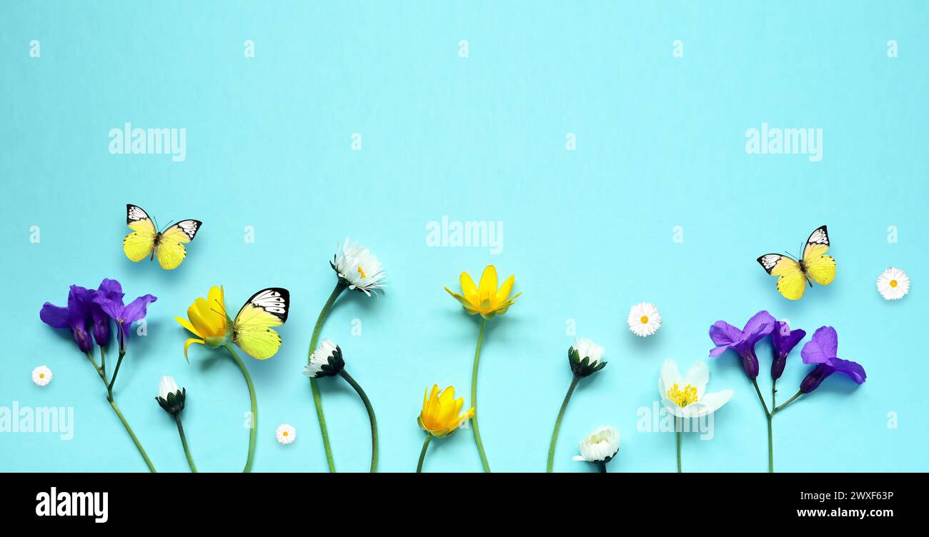 Adagiato con splendidi fiori di prato e farfalla su sfondo blu. Foto Stock