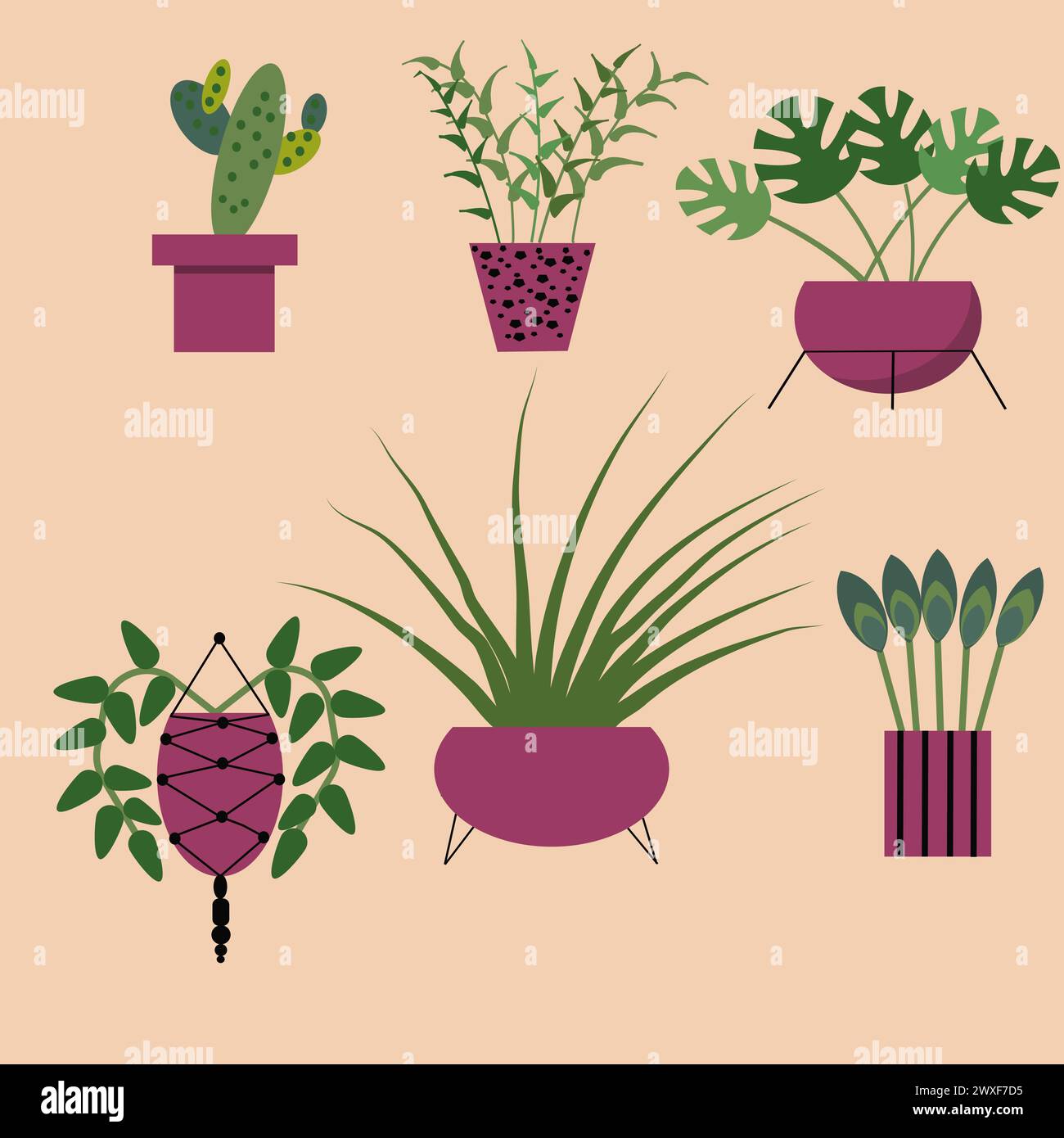 Set di piante vettoriali domestiche. Piante da casa. Illustrazione Vettoriale